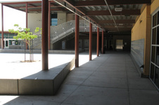 Enlarge photo 81