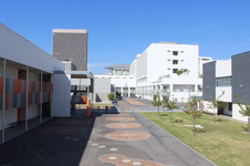 Enlarge photo 37