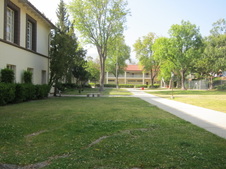 Enlarge photo 85