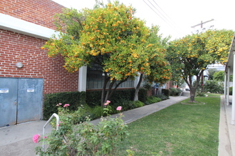 Enlarge photo 26