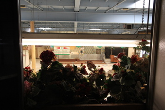 Enlarge photo 57