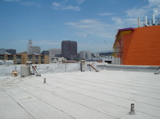 Enlarge photo 31