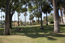 Enlarge photo 6