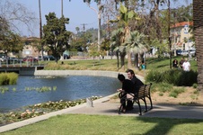 Enlarge photo 24
