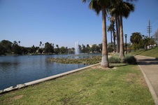 Enlarge photo 41