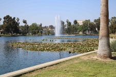 Enlarge photo 42