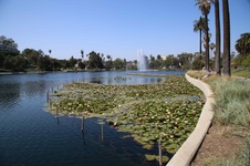 Enlarge photo 43
