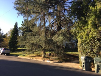 Enlarge photo 3