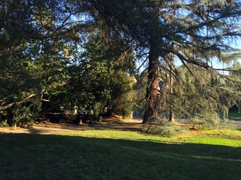 Enlarge photo 7