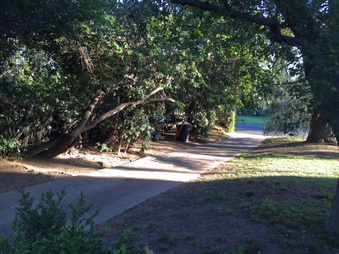 Enlarge photo 8