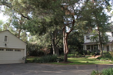 Enlarge photo 11