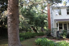 Enlarge photo 16