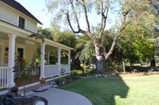 Enlarge photo 9