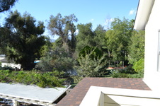 Enlarge photo 56