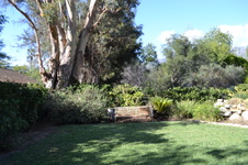 Enlarge photo 95