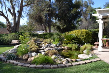 Enlarge photo 97
