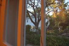 Enlarge photo 40