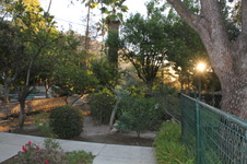 Enlarge photo 17