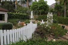 Enlarge photo 11