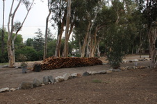 Enlarge photo 21