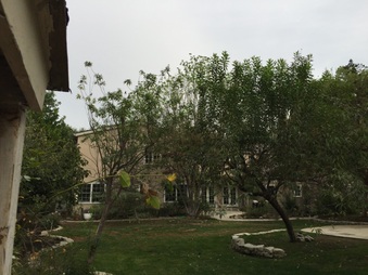 Enlarge photo 14