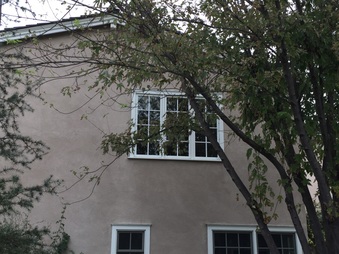 Enlarge photo 43