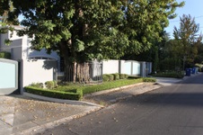 Enlarge photo 106
