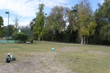 Enlarge photo 71