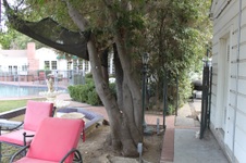Enlarge photo 89