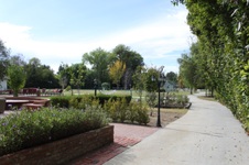 Enlarge photo 119