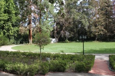 Enlarge photo 120