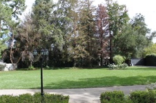 Enlarge photo 123