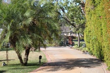 Enlarge photo 11