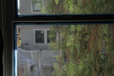 Enlarge photo 41