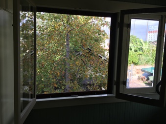 Enlarge photo 103