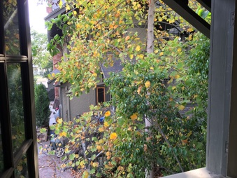 Enlarge photo 10