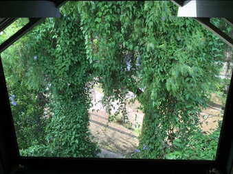 Enlarge photo 120
