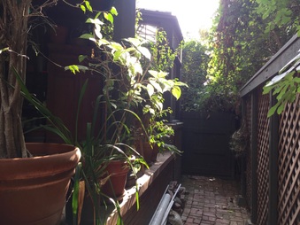 Enlarge photo 34