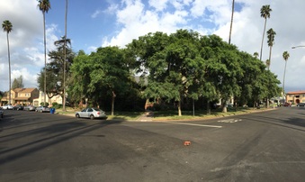 Enlarge photo 4