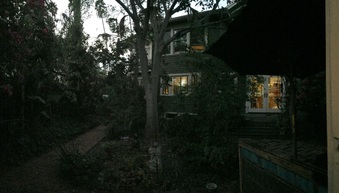 Enlarge photo 41