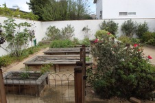 Enlarge photo 61
