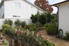Enlarge photo 62