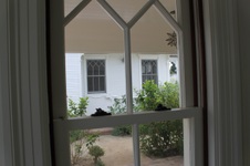 Enlarge photo 80