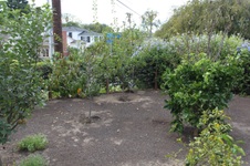 Enlarge photo 126