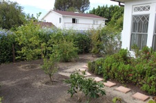 Enlarge photo 127