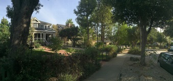 Enlarge photo 5