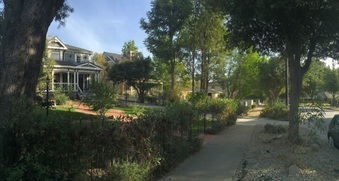 Enlarge photo 6