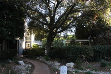Enlarge photo 6