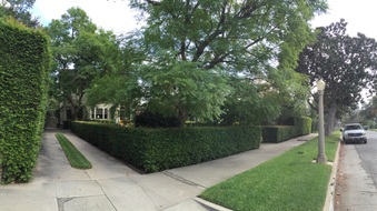 Enlarge photo 10