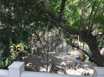 Enlarge photo 121